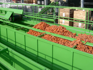 линии для технологического сортирования очистки селекции растений в Польше