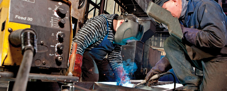 линии для технологического сортирования очистки селекции растений в Польше